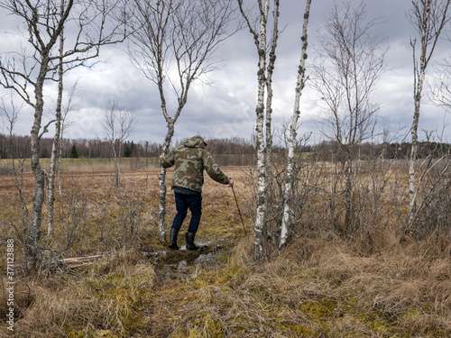 monotonous landscape with a man in a swamp, traditional swamp vegetation in spring © ANDA