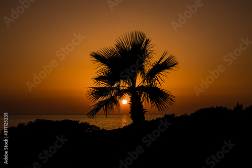Sunset at La Barrosa beach in Sancti Petri  Cadiz  Spain