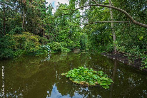 Wroclaw, Poland August 5, 2020; The Botanical Garden of the University of Wrocław.