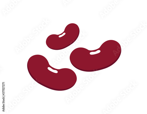 Kidney beans icon.  Red beans  vector illustration.  Beans icon. 