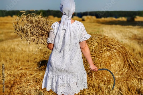 A peasant girl in a white dress and a scarf harvesting wheat with a sickle and an armful of wheat ears in her hands
