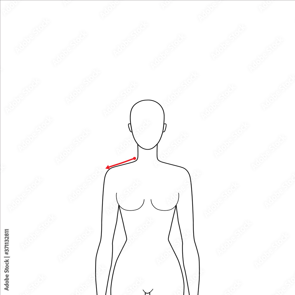 Women to do shoulder measurement fashion Illustration for size chart. 7.5 head size girl for site or online shop. Human body infographic template for clothes. Women to do shoulder measurement fashion Illustration for size chart. 7.5 head size girl for site or online shop. Human body infographic template for clothes.