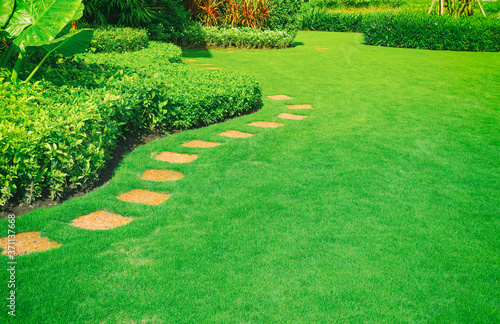 Landscape design, Peaceful Garden, Green garden and lawn, Green lawn, Garden in spring, Pathways with green lawns, Landscaping in the garden, Curve walkway on the green grass field and flower.