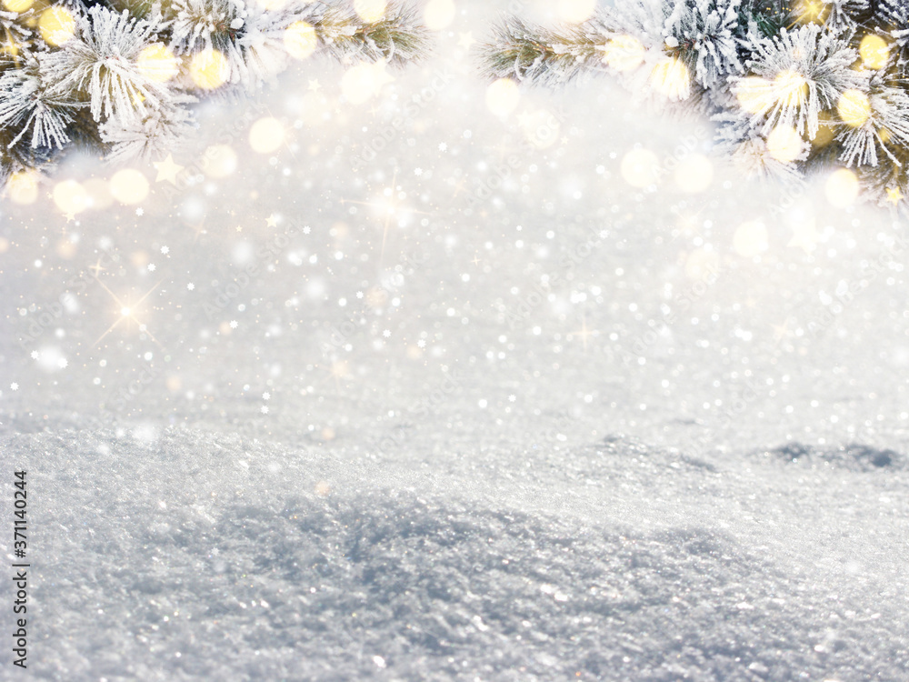 winter christmas background with snow and fir branches frame