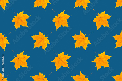 Autumn seamless pattern. Yellow maple leaves on dark blue background