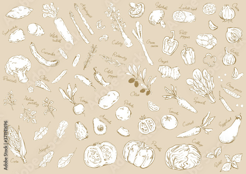 おしゃれな野菜のスケッチイラスト 背景パターン