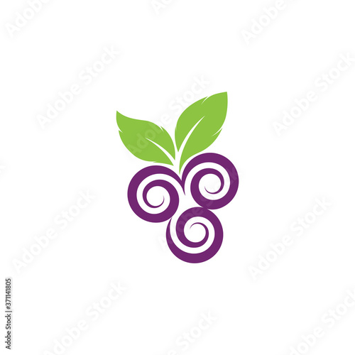 Grapes logo template vector icon illustration
