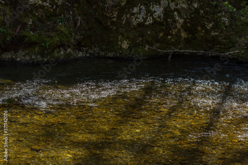 glitterling creek in the sun