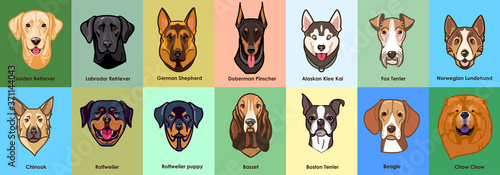 Photography Vector illustration collections of dogs breeds