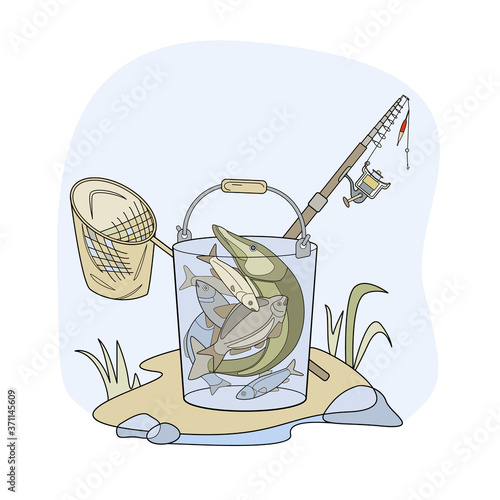 Fish in a bucket, fishing rod, landing net. Colored vector illustration.