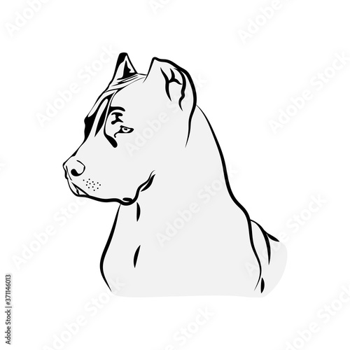 American Pit Bull Svg, Terrier Svg Files For Cricut, Dog Dxf Cut File, Puppy Vector, Eps, Png, Ipg, Friend, Pet, Picture Pitbull