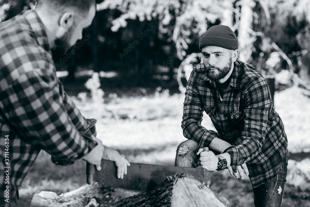 Two brutal bearded foresters saw a tree. Two brutal bearded foresters saw a tree.