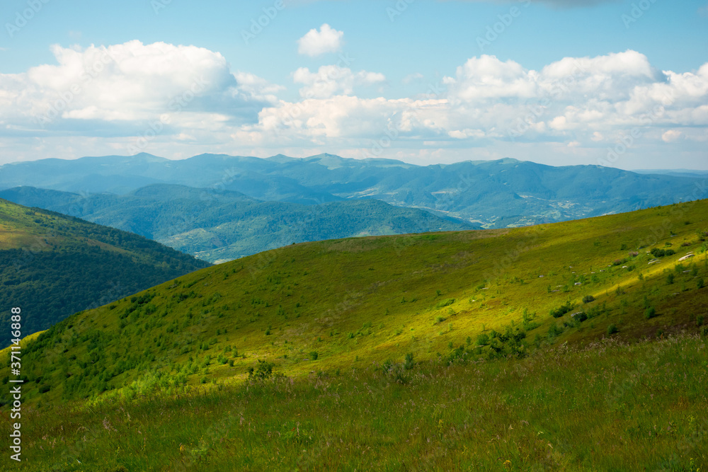 summer landscape of runa mountain. grassy hills of alpine meadow (polonyna). beautiful destination of ukrainian carpathians. clouds on the sky