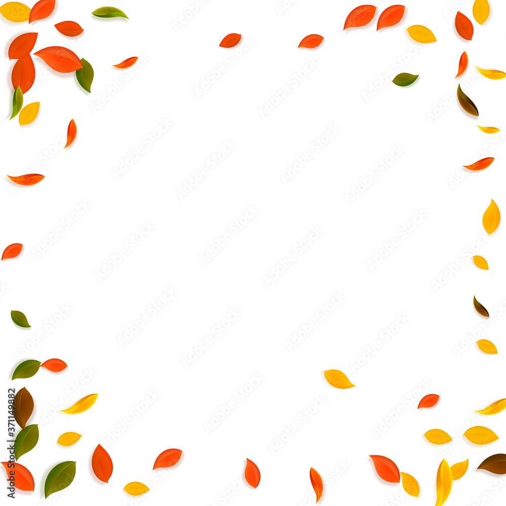 Falling autumn leaves. Red, yellow, green, brown c Falling autumn leaves. Red, yellow, green, brown c