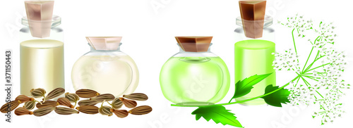 anise ordinary oil with plant