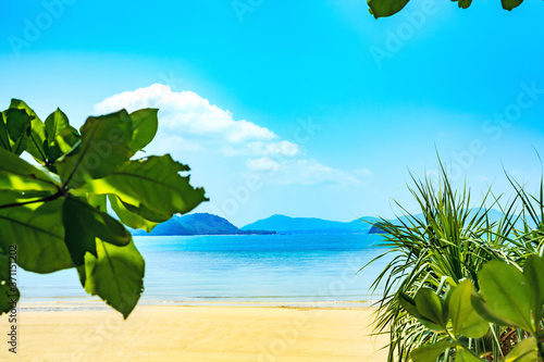 Summer landscape with empty tropical beach through palms leaf