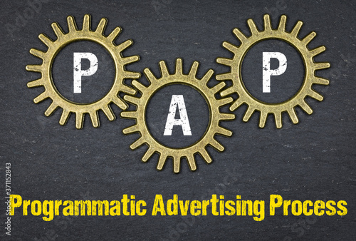 PAP Programmatic Advertising Process photo