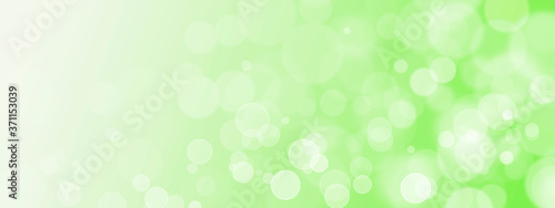 Bokeh lights, Natural green spring background. Summer abstract nature background with copy space.