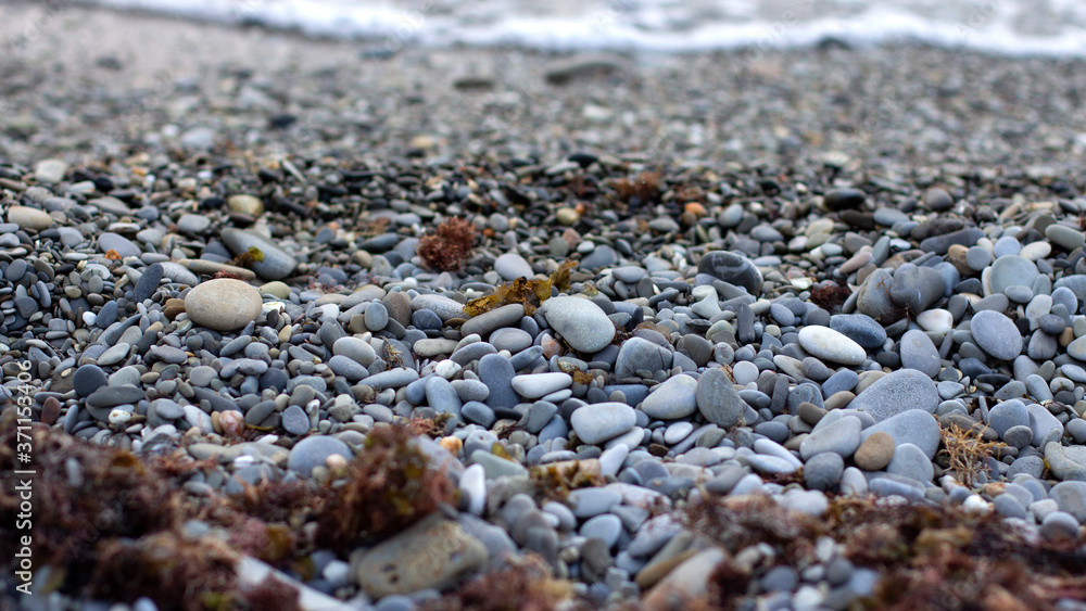 Rocky beach with pebbles and seaweed. Concept of postcards and recreation. Seashore. Family tourism on the Black sea. Copy space Rocky beach with pebbles and seaweed. Concept of postcards and recreation. Seashore. Family tourism on the Black sea. Copy space
