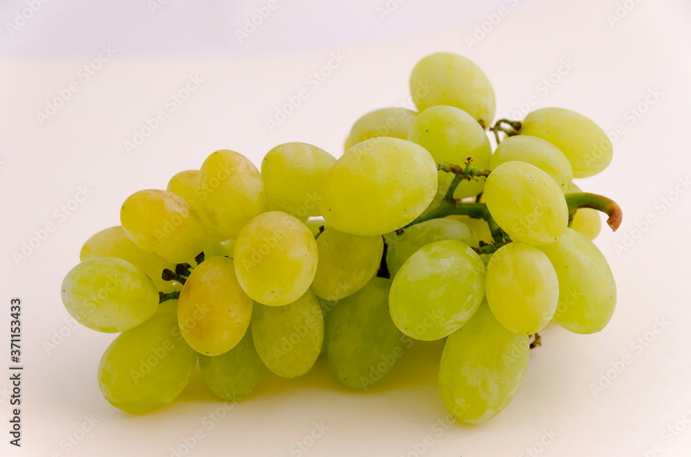 Bunch with fresh ripe white grapes, ready to eat, Zavet, Bulgaria Bunch with fresh ripe white grapes, ready to eat, Zavet, Bulgaria