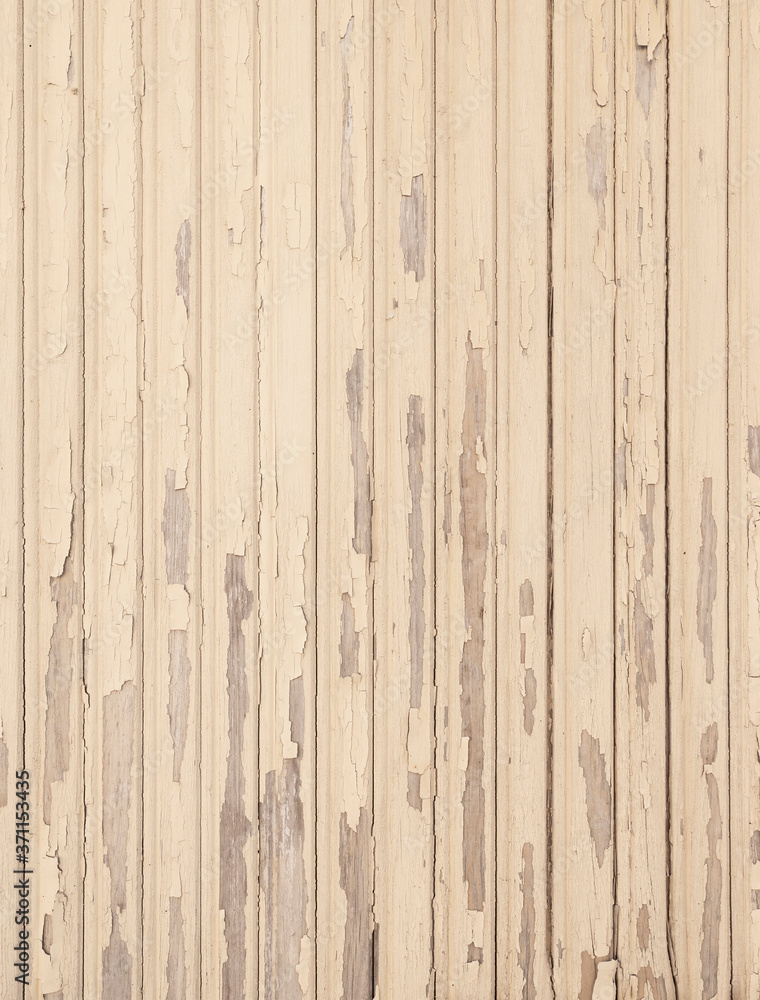 Obraz premium old beige grungy paint blisters on vertical wooden planks