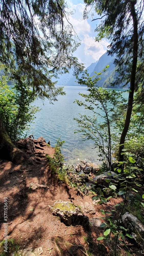 Lake in the forest - Königssee - Germany - Bavaria - Bayern Lake in the forest - Königssee - Germany - Bavaria - Bayern