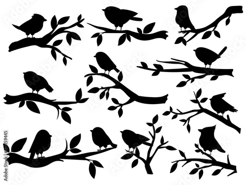 Bird and twig silhouettes. Cute birds and on branch, romantic spring image, black sparrows on tree, garden decor retro art, vector set. Illustration silhouette twig tree and bird on branch