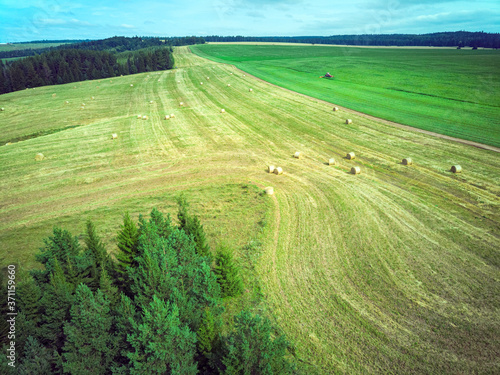 Aerial view wheat field with straw bales, road and forest