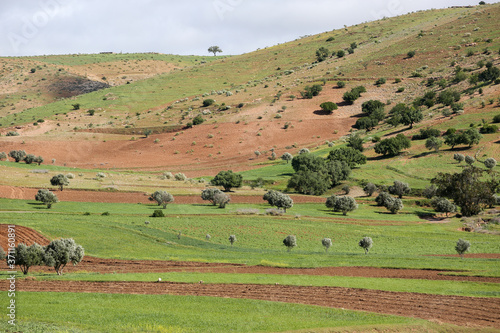 landscapes of Morocco 