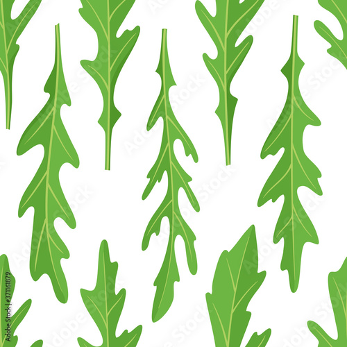 Cartoon bright seamless pattern with leaves of arugula on white