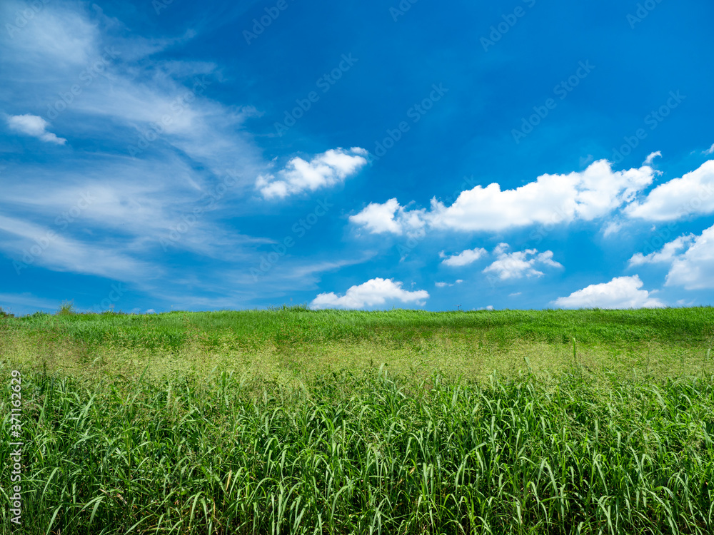 夏の青空と野原。8月。