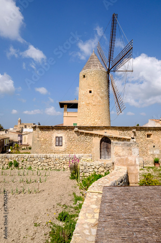 molino harinero tradicional, Molino de Can Cotó, siglo XIX, Maria de la Salut,  Mancomunidad del Pla, Mallorca, balearic islands, spain, europe photo