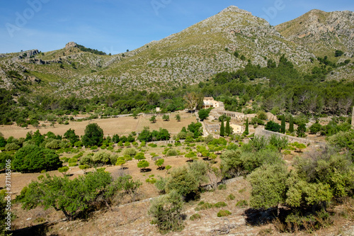 Finca Pública Galatzó, Calvia, Mallorca, balearic islands, spain, europe