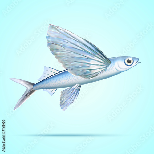 Flying fish element