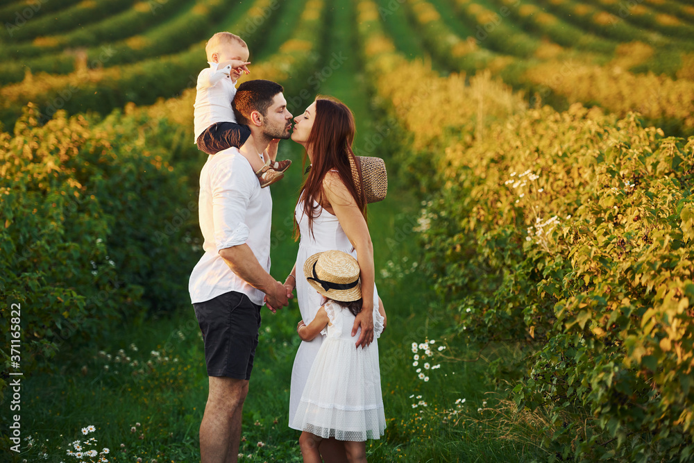 Fototapeta premium Family of four people spending free time on the field at sunny day time of summer
