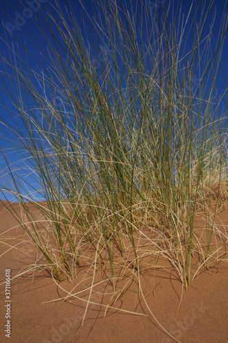 landscapes of Morocco 