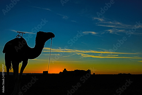 landscapes of Morocco 