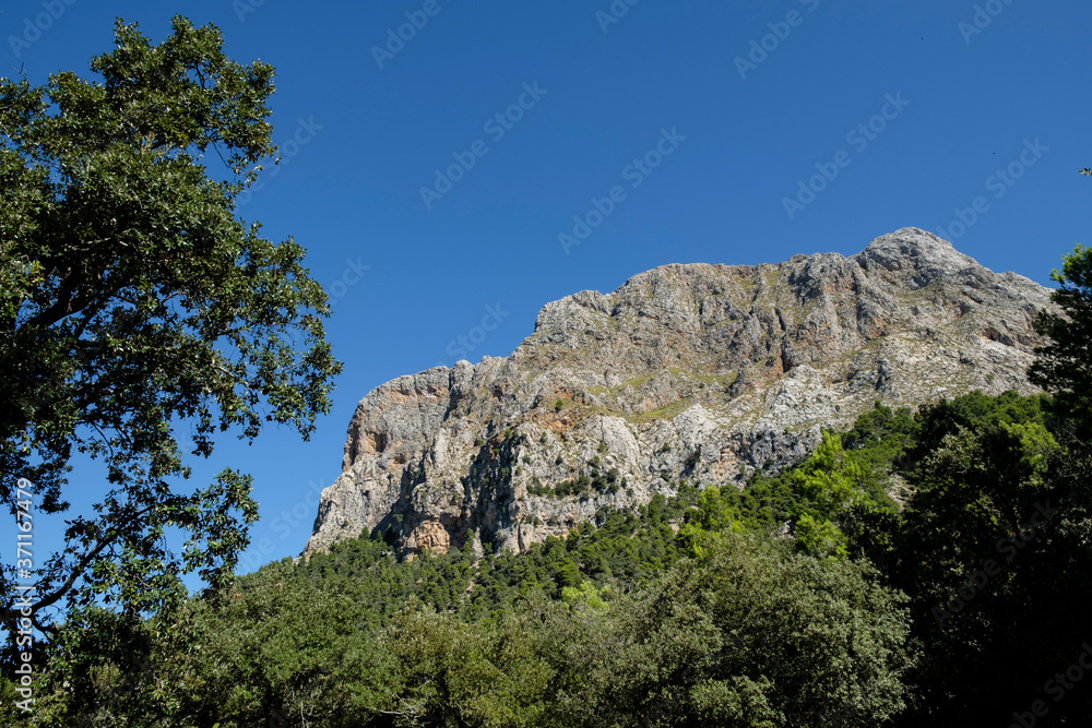 Penyal des Migdia, 1401 metros, término municipal de Fornalutx, paraje natural de la Sierra de Tramuntana, Mallorca, balearic islands, Spain Penyal des Migdia, 1401 metros, término municipal de Fornalutx, paraje natural de la Sierra de Tramuntana, Mallorca, balearic islands, Spain