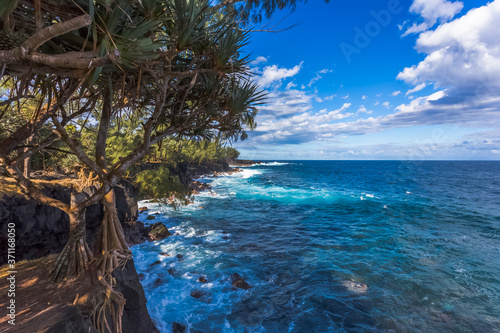 Côte rocheuse du Sud Sauvage, Saint-Philippe, île de la Réunion 