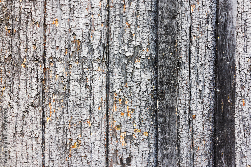 Obraz premium Old wood planks, perfect background for your concept or project.