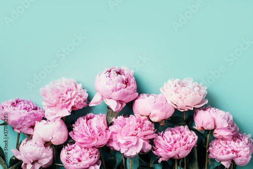 Fototapeta kwitnący kompozycja bukiet kwiat