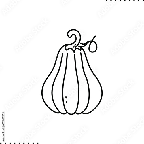 pumpkin vector icon in outline