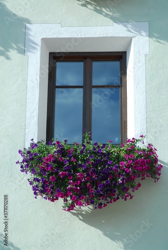 windows with flowers at Brunico (Bolzano) in south tyrol, Italy.