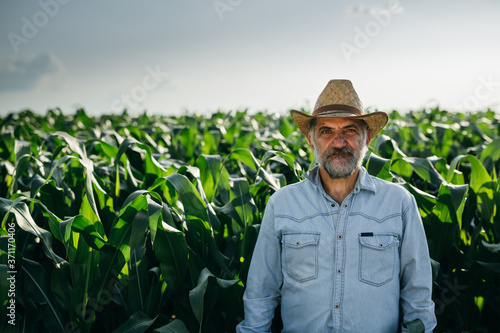 farmer standing in corn field, looking at camera