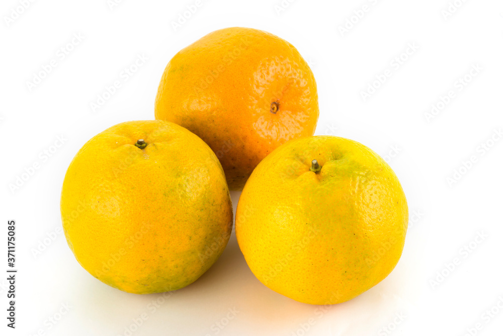 The oranges isolated on white background The oranges isolated on white background