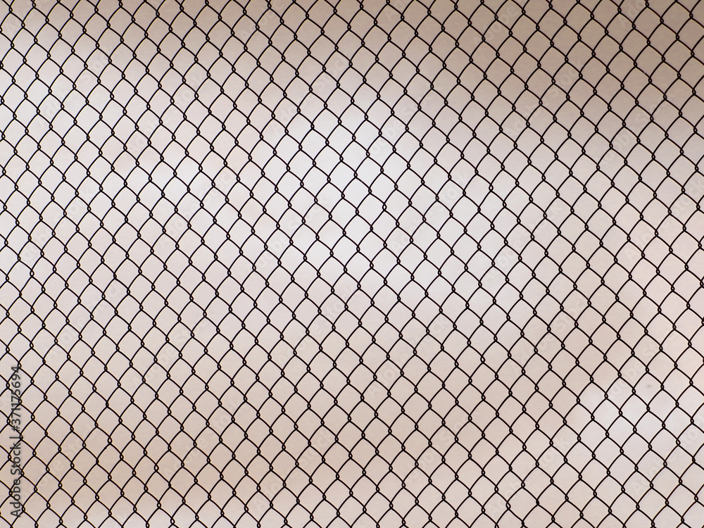 Fototapeta premium Decorative wire mesh of fence isolated on white background