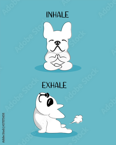 French bulldog practicing yoga cartoon. Dog vector illustration isolated on blue background.
