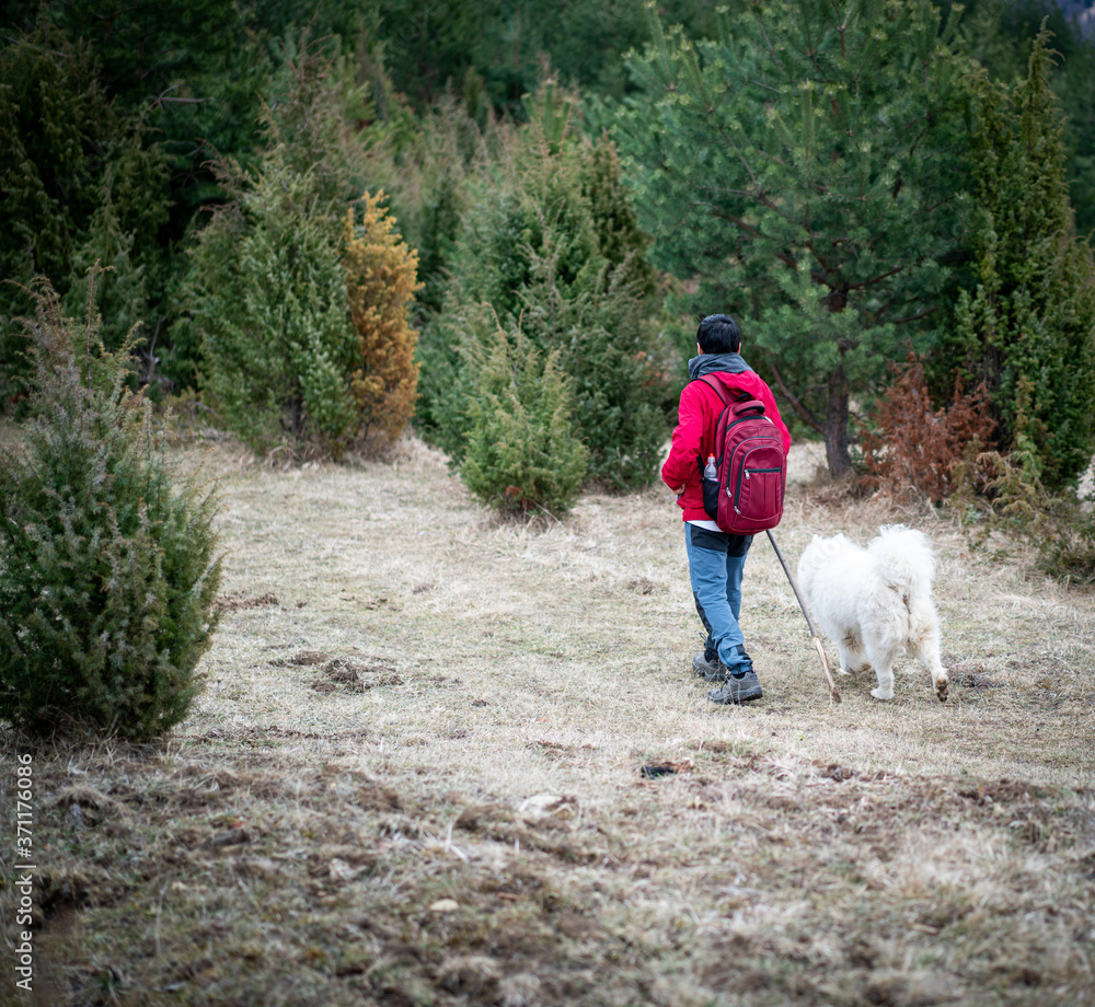 Man walking with dog in forest Man walking with dog in forest