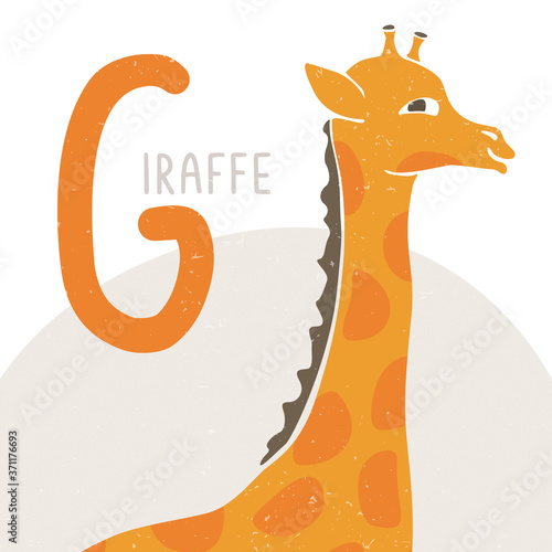 Cute vector alphabet card for play and education. Letter "G" is for Giraffe. Ripe croped yellow giraffe.  Handwritten text. Vector hand drawn illustration