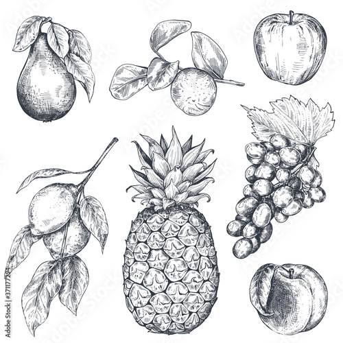 Set of hand drawn fresh fruits in sketch style. Black and white vector collection.